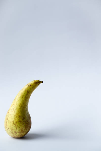 istock Kateryna Kutsevol
Vyshgorod
2021 1340863661