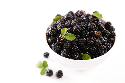 bowl of fresh blackberries isolated on white background