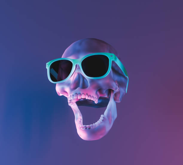 3d rendering illustration of skull anatomy collection