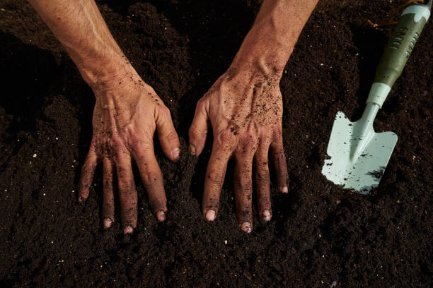 istock Farmer man hands dirty on substratum 1340870988