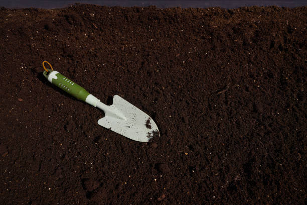 istock Garden trowel in substratum for orchard 1340871070