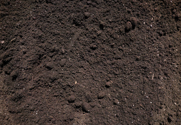 fondo del patrón de textura del sustrato - humus soil fotografías e imágenes de stock