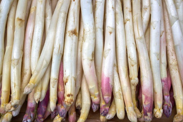 Asparagus in a row stacked in outdoor market
