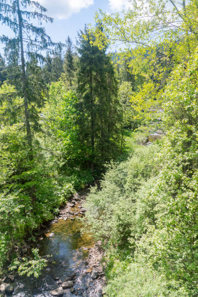 istock Czarna Wiselka - the source stream of the Vistula River. 1340872355