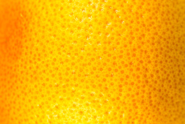 istock Close up photo of Grapefruit peel texture. Exotic ripe fruit, orange background, macro view. Human skin problem concept, acne and cellulite. Beautiful nature wallpaper. 1340872526