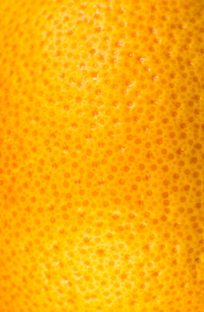 istock Close up photo of Grapefruit peel texture. Exotic ripe fruit, orange background, macro view. Human skin problem concept, acne and cellulite. Beautiful nature wallpaper. 1340872532