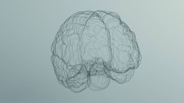 istock Black Anatomical Brain Line Art Wireframe Sculpture 1340875690