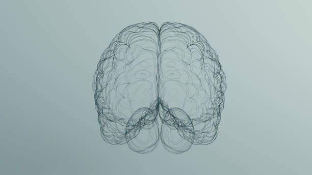 istock Black Anatomical Brain Line Art Wireframe Sculpture 1340875710