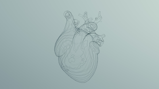 Black Anatomical Heart Line Art Wireframe Sculpture