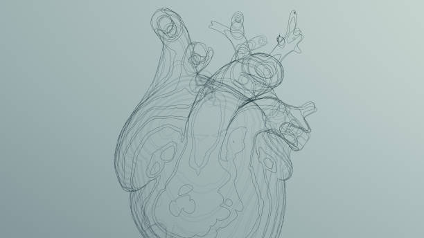 istock Black Anatomical Heart Line Art Wireframe Sculpture 1340875812