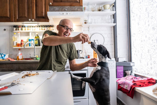 Senior man eating pizza at home with his dog Senior man eating pizza at home with his dog dog disruptagingcollection stock pictures, royalty-free photos & images