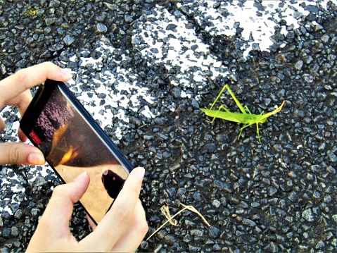 Photo session with Grasshopper. 
: Design. You mean white drawing on asphalt. This is just standard traffic 