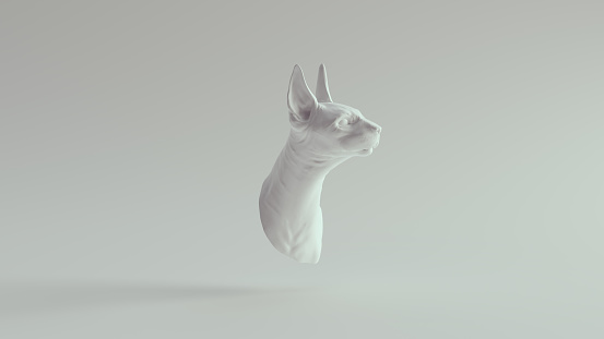 White Long Eared Cat Bust 3d illustration render