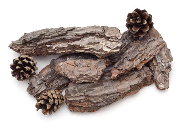 istock Pieces of brown bark. 1340879755