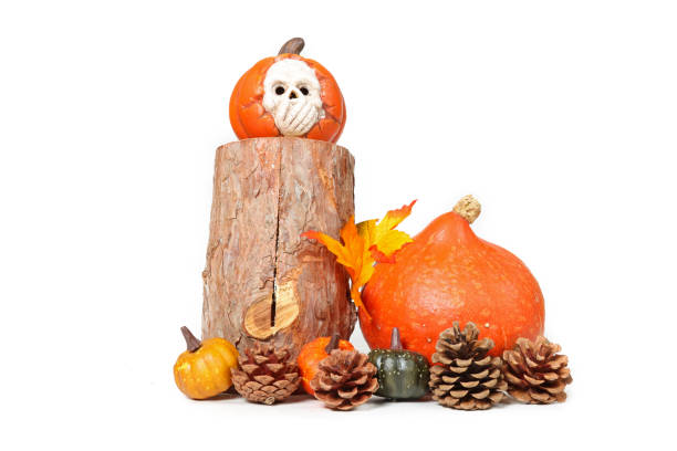 istock halloween pumpkins decorations isolated on white 1340879771
