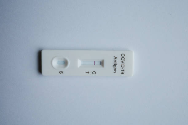 istock Covid-19 antigen test kit on white background. 1340879990