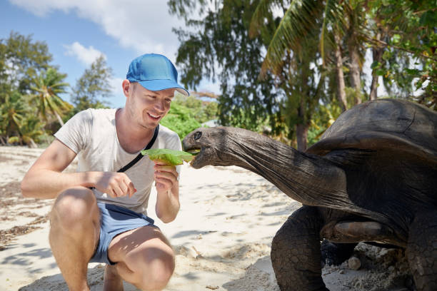istock Happy traveler with giant tortoise on beach 1340882119