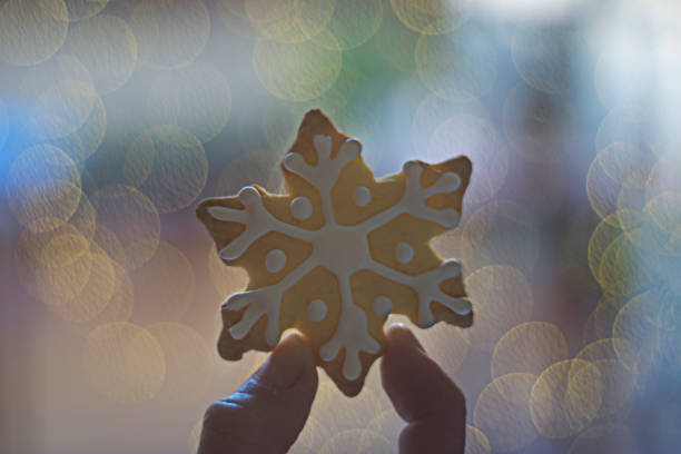 Human fingers showing a decorated snowflake sugar cookie A person holding a decorated cookie with a defocused background full of lights white sugar cookie stock pictures, royalty-free photos & images