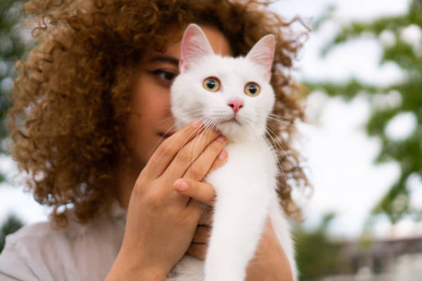 istock Beautiful girl and white cat 1340882992