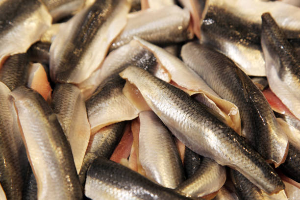 istock A lot of fresh herring fillet 1340883598