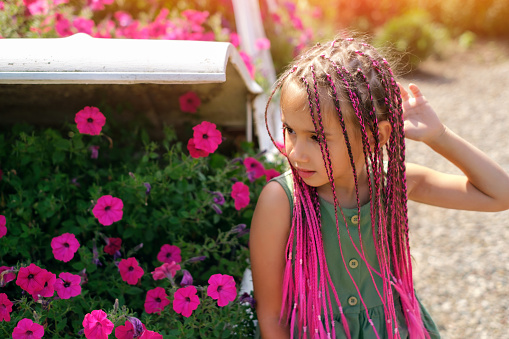 A beautiful cute girl with pink Afro-pigtails from kanekalon stands in front of a flower bed with flowers. a warm summer day. Petunia flowers with a pronounced sweet smell. zizi pigtails.