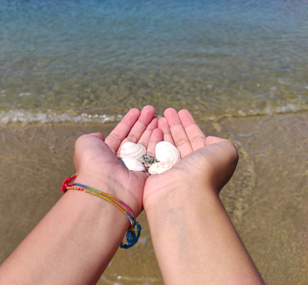 Close up of shells in hands Stock photo