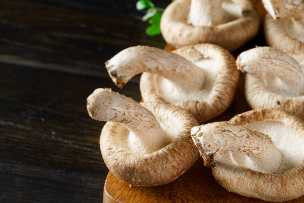 istock Shiitake mushroom on wooden table 1340890169