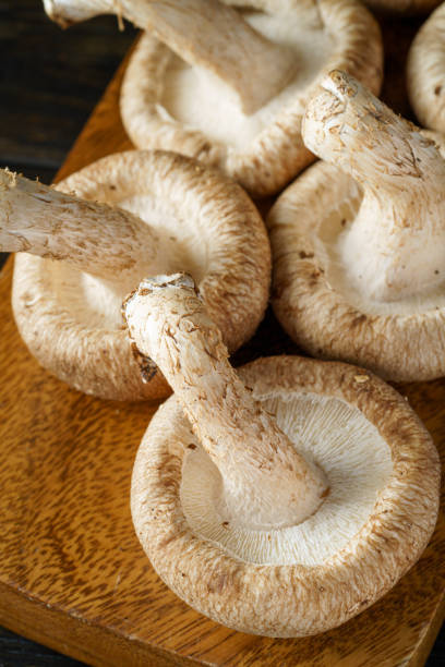istock Shiitake mushroom on wooden table 1340890177