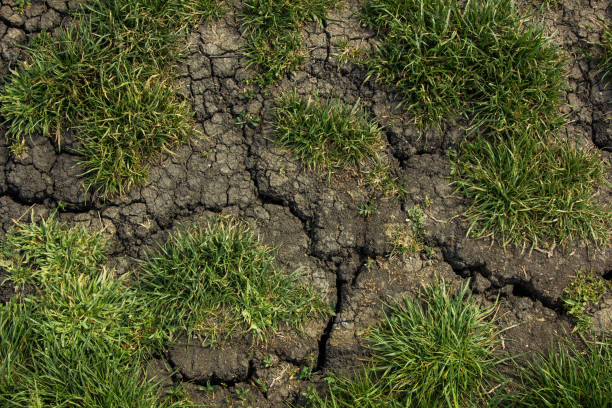 istock Cracks on the ground during a drought in summer 1340891588