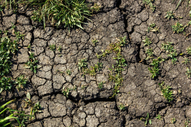 istock Cracks on the ground during a drought in summer 1340891606
