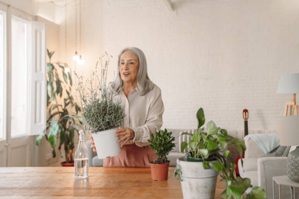 istock Woman watering plants 1340892910