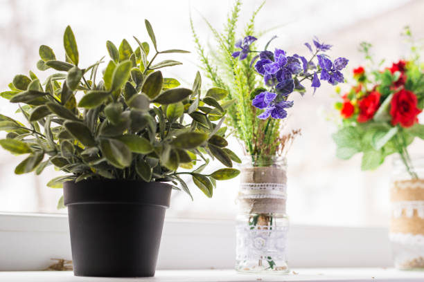 istock Green plant on the windowsill 1340892964