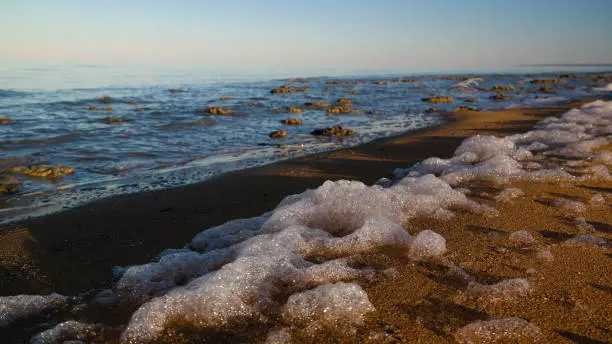 Sea foam at the beach of the Aral Sea near Aktumsuk cape at sunset in Karakalpakstan, Uzbekistan
