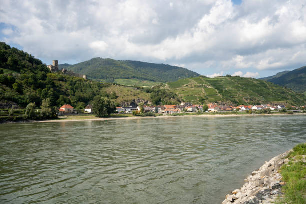 viñedos en terrazas cerca de spitz y castle - danube valley danube river vineyard austria fotografías e imágenes de stock