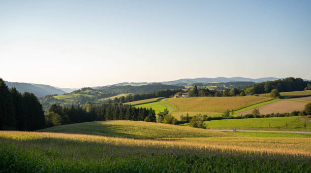 istock Rolling farmland in morning, Austria 1340898933