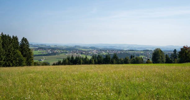 Austrian village in distance, across meadow