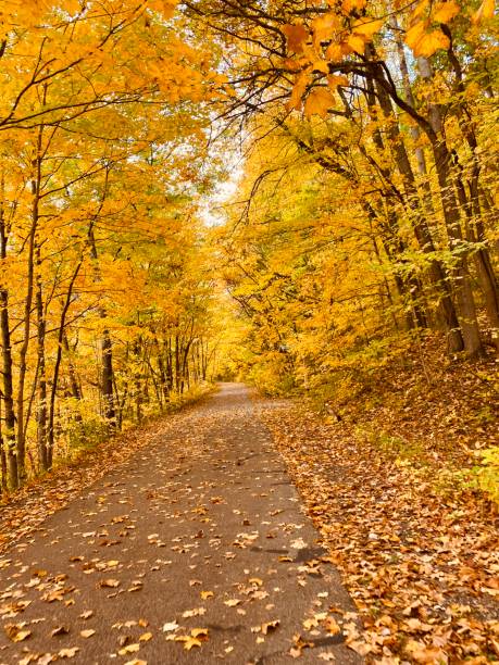 istock Fall Trail of Color 1340903002