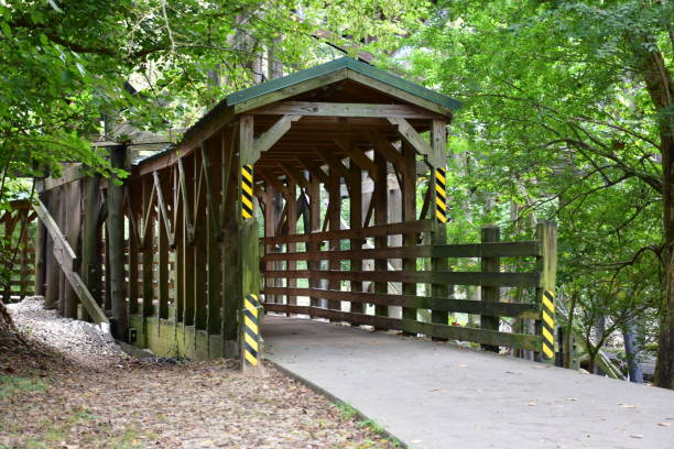 istock A wooden bridge in the park 1340903228
