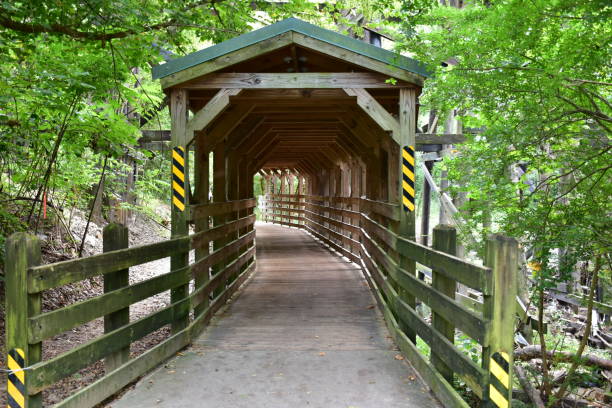 istock A wooden bridge in the park 1340903233