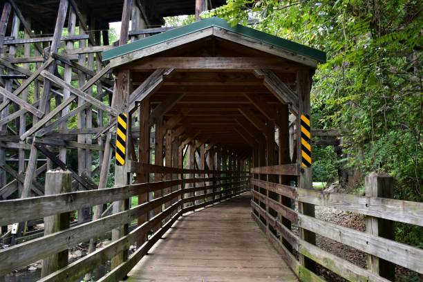 istock A wooden bridge in the park 1340903235