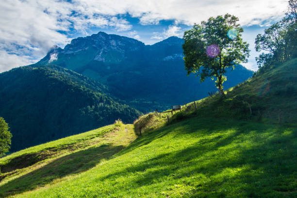 istock park regional natural of bauges 1340903279