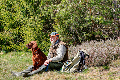 In the Black Forest a hunter sits with his beautiful Irish Setter at the edge of the forest on the meadow and enjoys the beautiful sunny spring day in the hunting area.