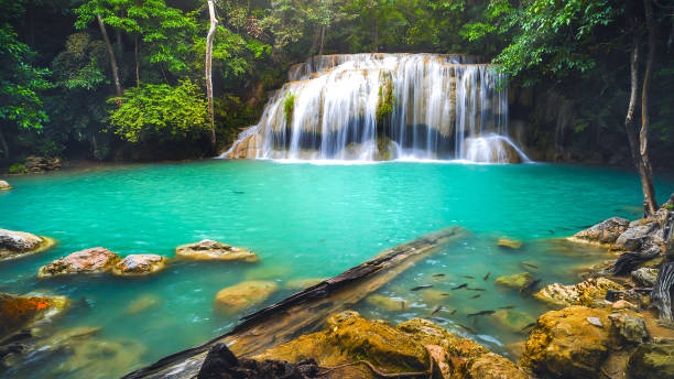 istock Waterfall in the emerald blue water in Erawan National Park. Erawan Waterfall is a beautiful natural rock waterfall in Kanchanaburi, Thailand.Onsen atmosphere 1340905502