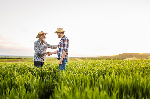 Father and son growing their agricultural business together and shaking hands.