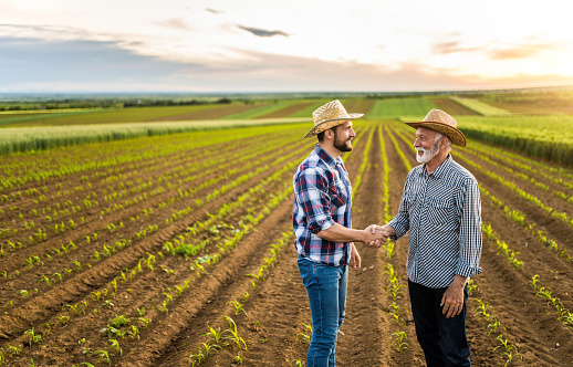 Father and son growing their agricultural business together and shaking hands.