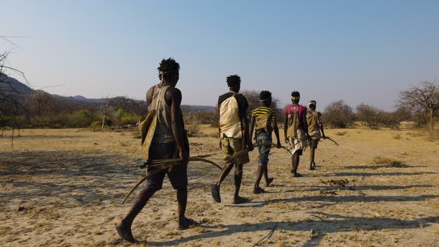 Group of Hadza hunter-gatherer tribesmen out hunding with bow and arrows Tanzania
