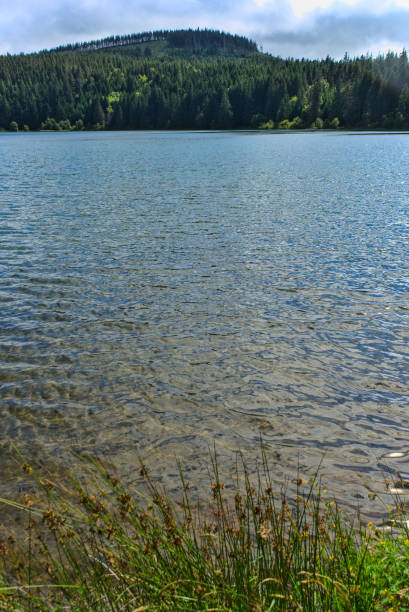 view of the volcanic lake of Servières in Orcival view of the volcanic lake of Servières in Orcival,Puy de Dome,Auvergne,France orcival stock pictures, royalty-free photos & images