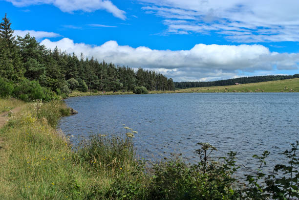 view of the volcanic lake of Servières in Orcival view of the volcanic lake of Servières in Orcival,Puy de Dome,Auvergne,France orcival stock pictures, royalty-free photos & images