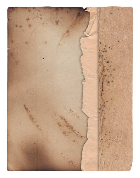 istock Old vintage texture retro paper with burned edges, stains and scratches background 1340910873