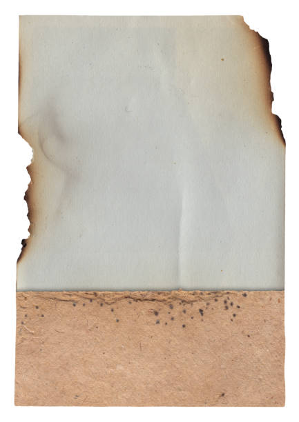 istock Old vintage texture retro paper with burned edges, stains and scratches background 1340910913